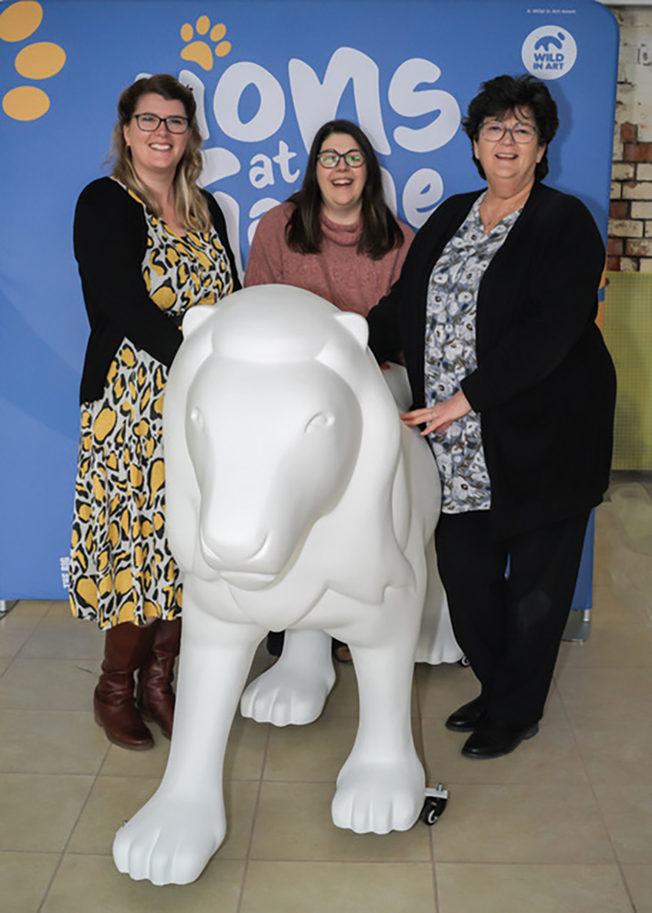 Lions at Large, Cheltenham, Look for Stars, Mason & Stokes Lions at Large, Cheltenham, Look for Stars, Mason & Stokes