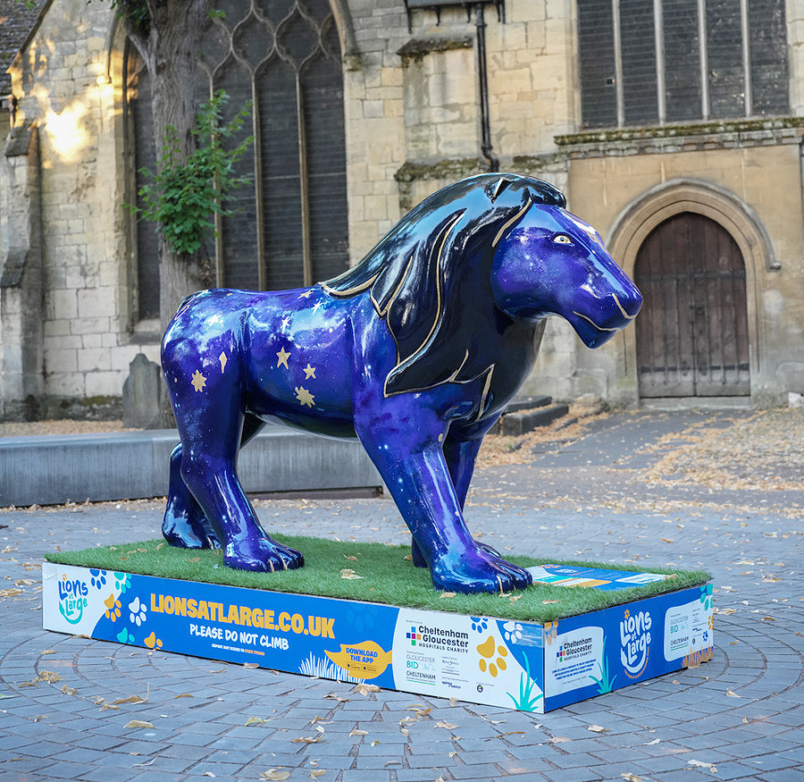 Lions at Large, Cheltenham, Look for Stars, Mason & Stokes
