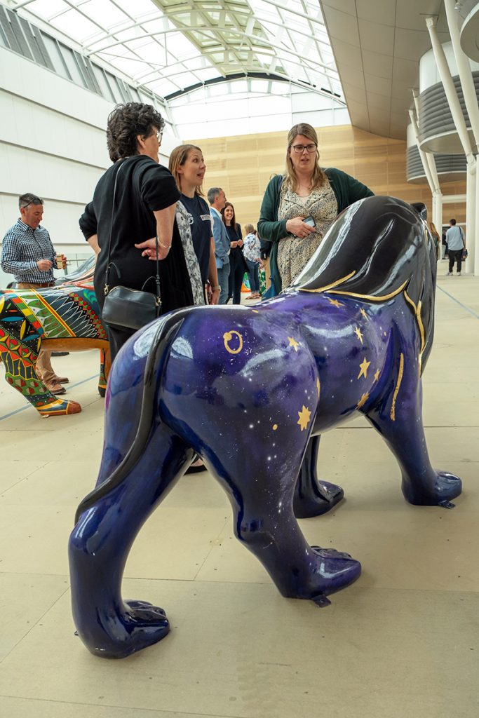 Lions at Large, Cheltenham, Look for Stars, Mason & Stokes Lions at Large, Cheltenham, Look for Stars, Mason & Stokes